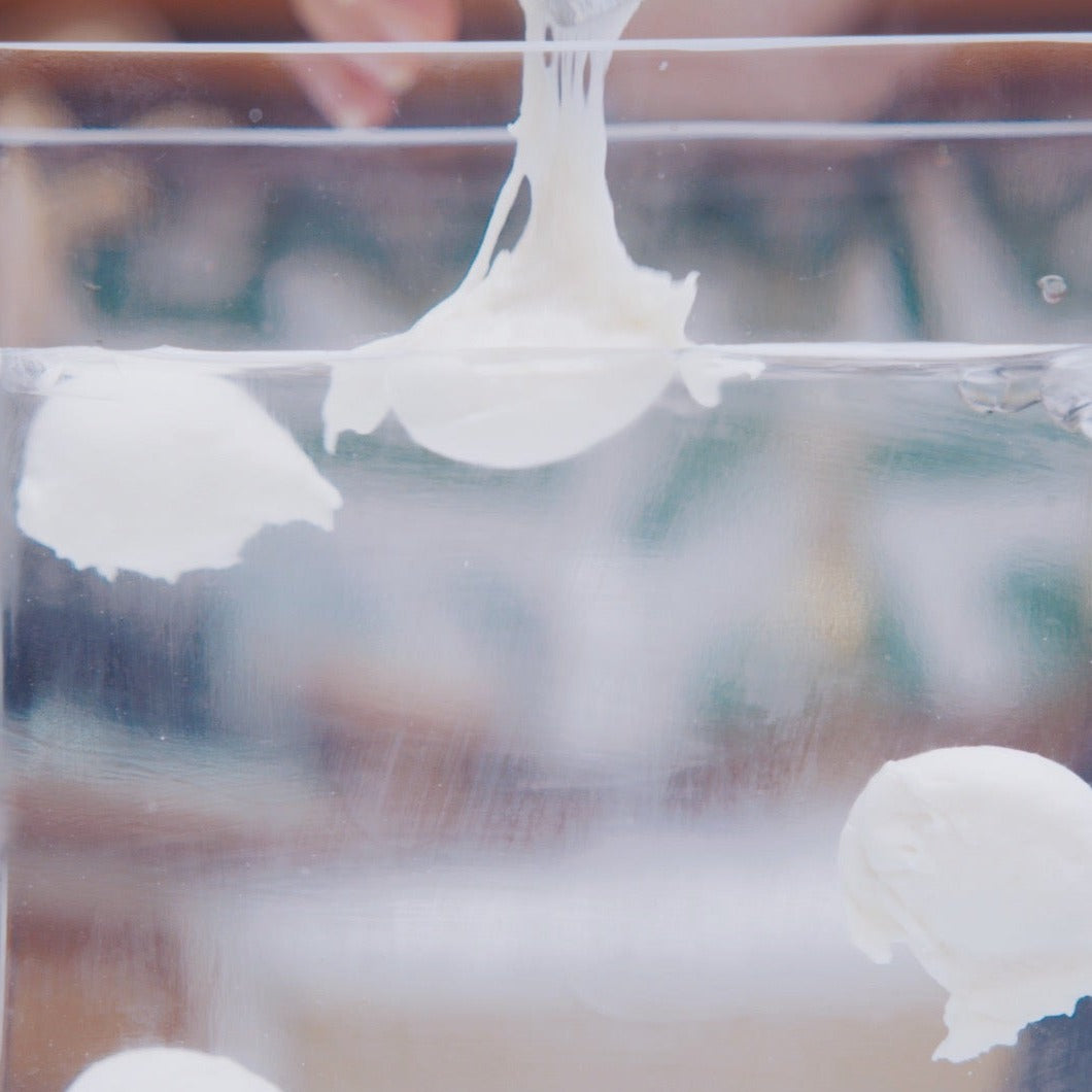 Volume One: Quick Cheeses