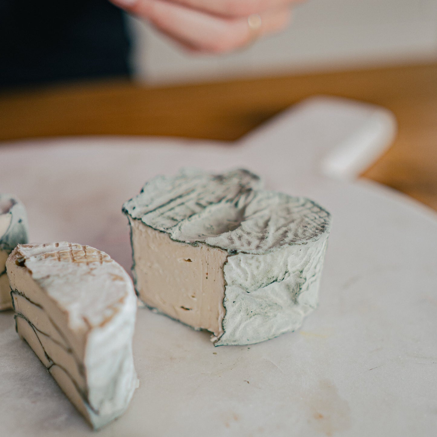 Volume Two: Cultured Cheeses